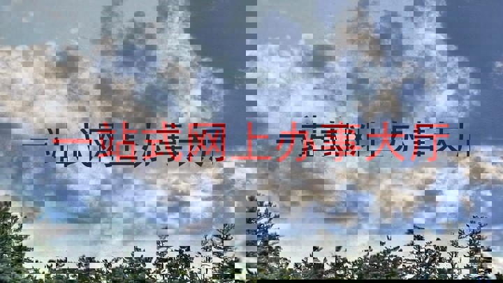 一站式网上办事大厅