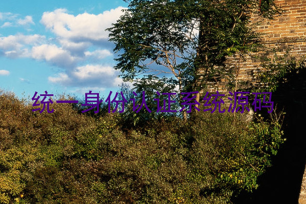 统一身份认证系统源码