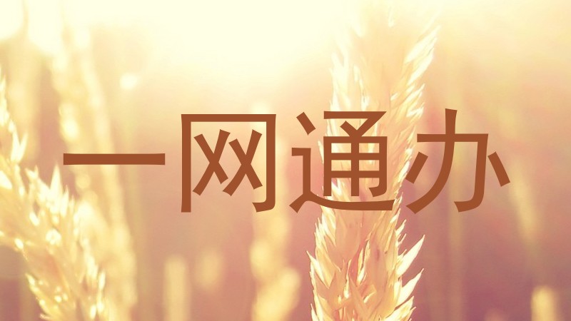 一网通办