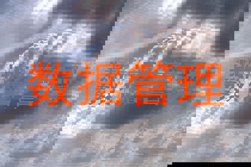 数据管理