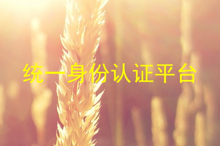 统一身份认证平台