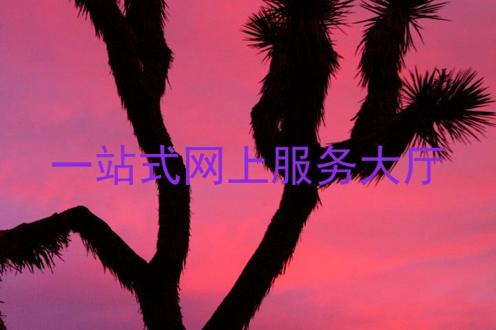 一站式网上服务大厅