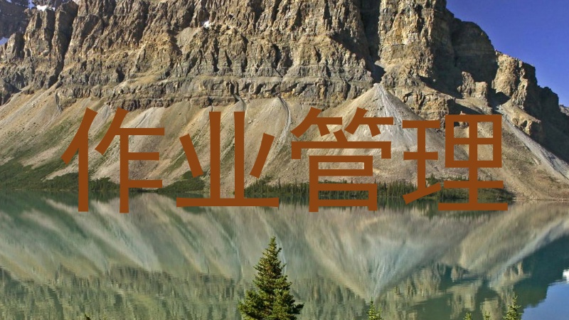 作业管理