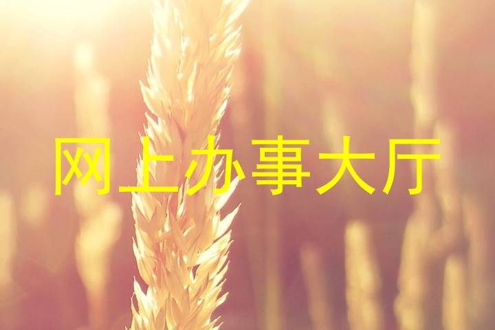 网上办事大厅