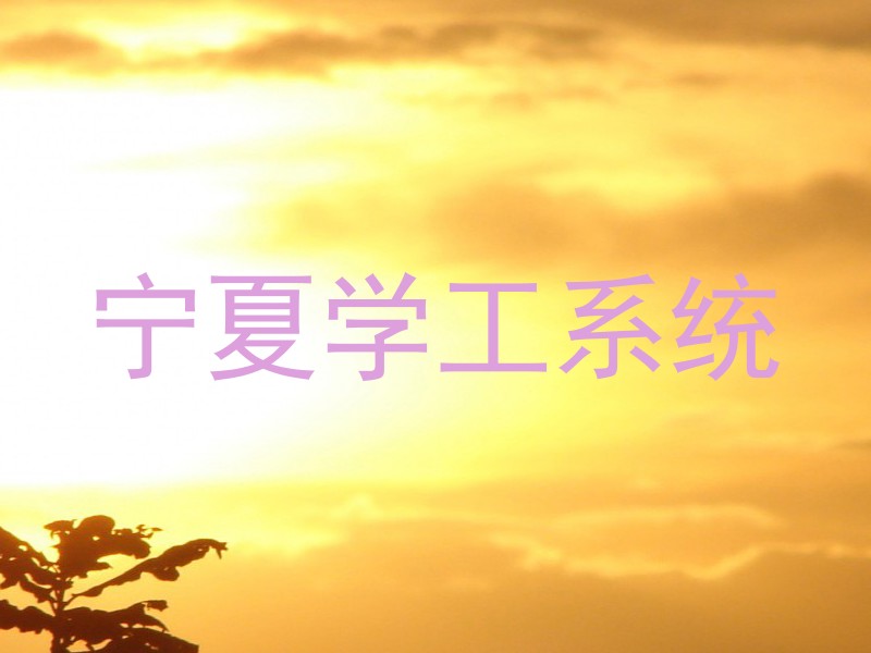 宁夏学工系统