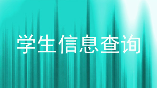 学生信息查询