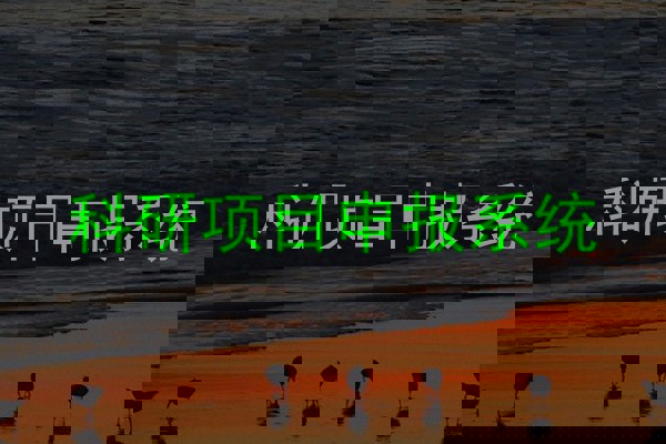 科研项目申报系统