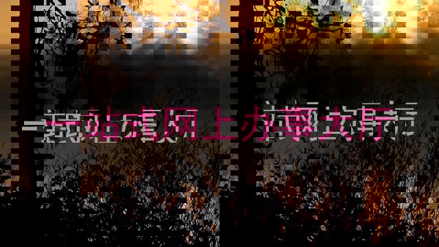 一站式网上办事大厅