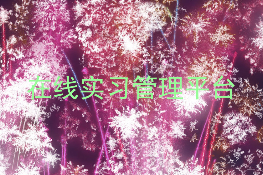 在线实习管理平台