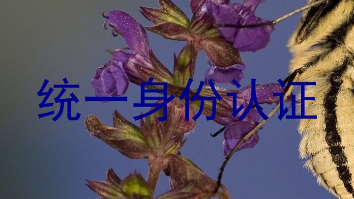 统一身份认证