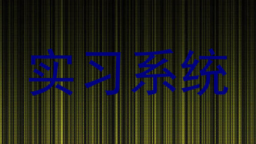实习系统