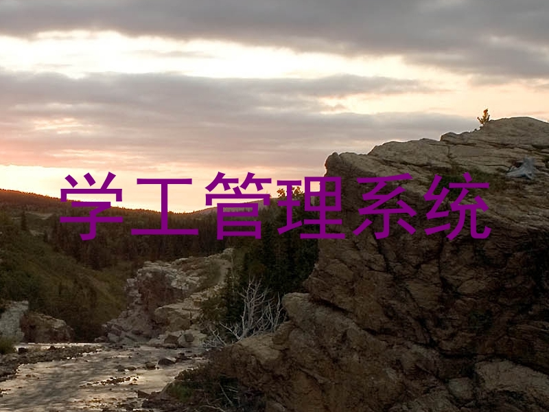 学工管理系统
