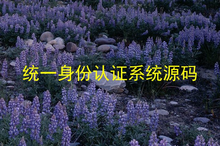 统一身份认证系统源码