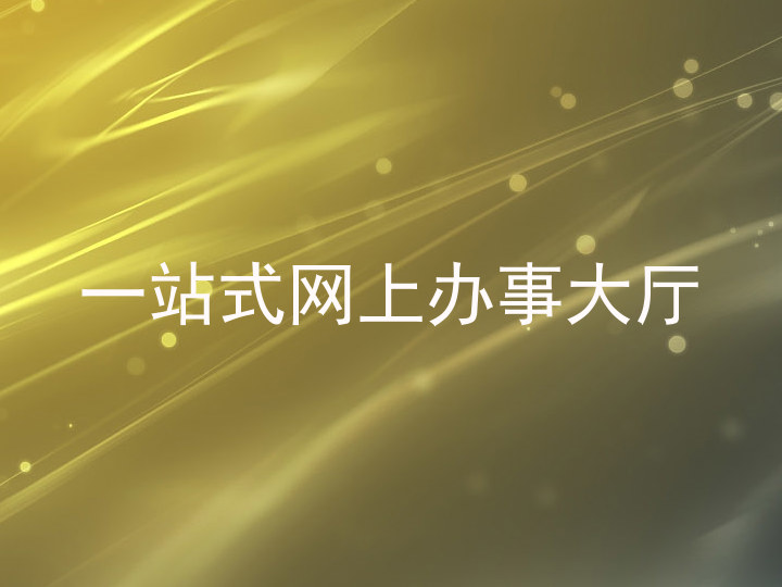 一站式网上办事大厅