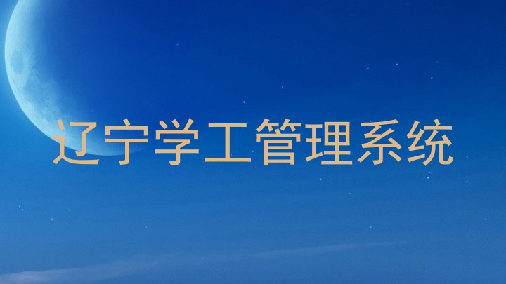 辽宁学工管理系统