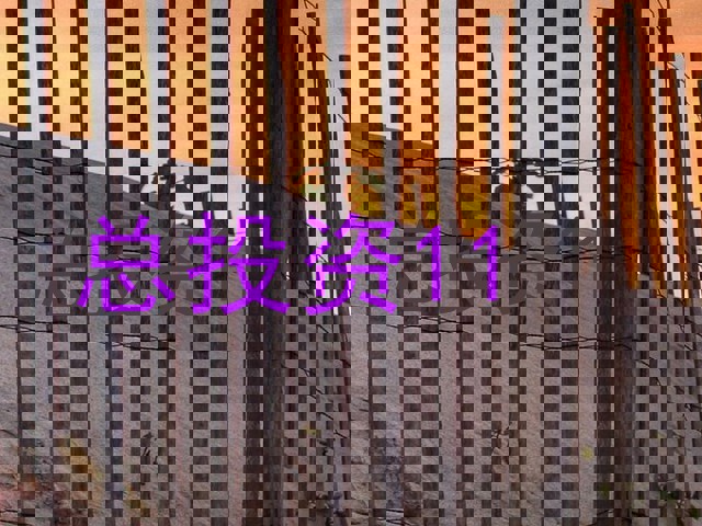 总投资11