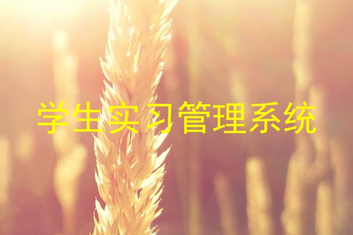 学生实习管理系统