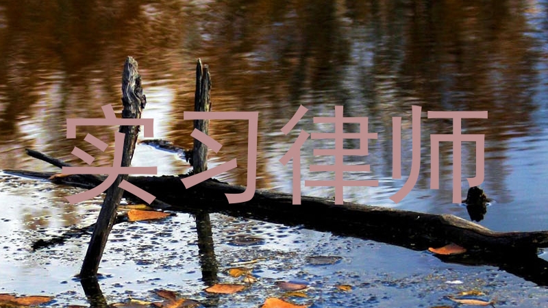 实习律师