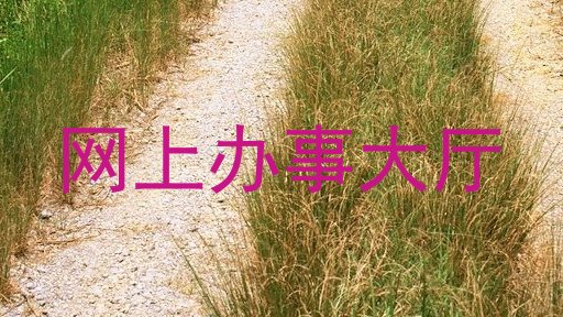 网上办事大厅