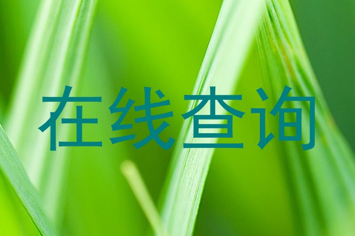 在线查询