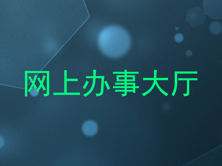 网上办事大厅