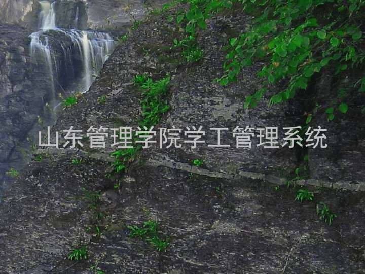 山东管理学院学工管理系统