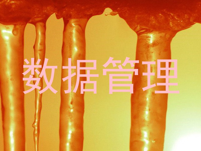 数据管理
