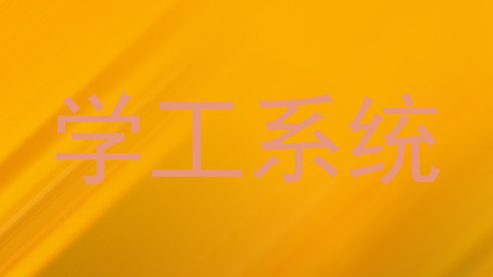 学工系统