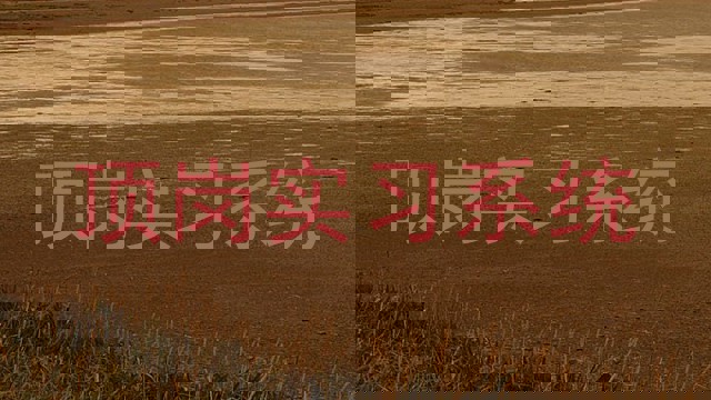 顶岗实习系统