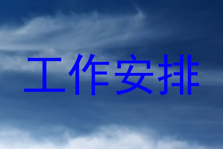 工作安排