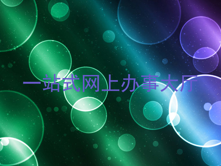 一站式网上办事大厅
