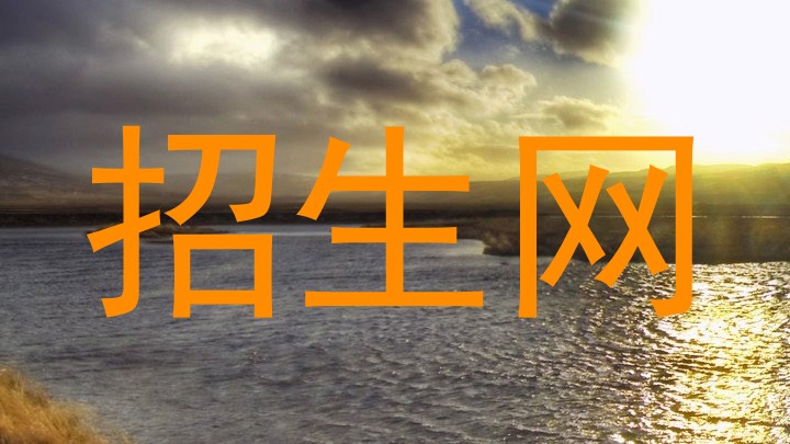 招生网