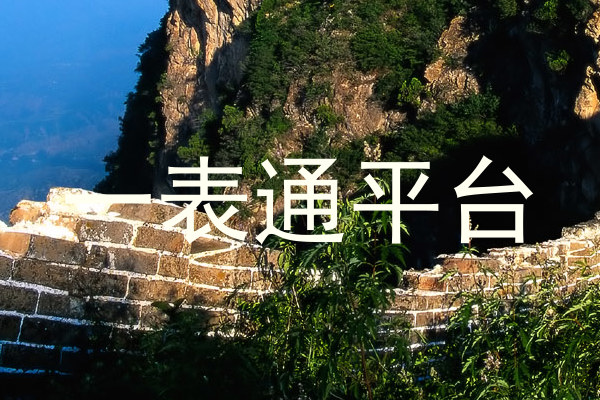 一表通平台