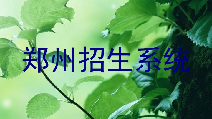 郑州招生系统