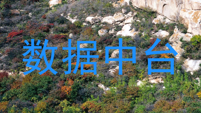 数据中台