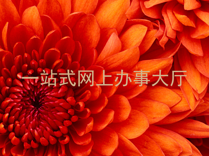 一站式网上办事大厅