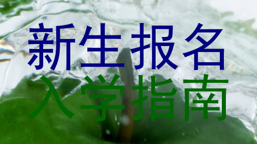 新生报名|入学指南