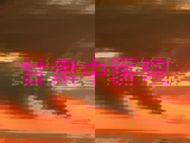 甘肃中医院