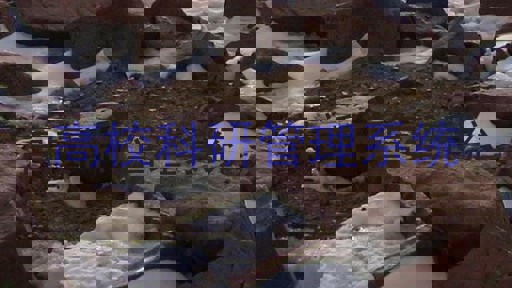 高校科研管理系统