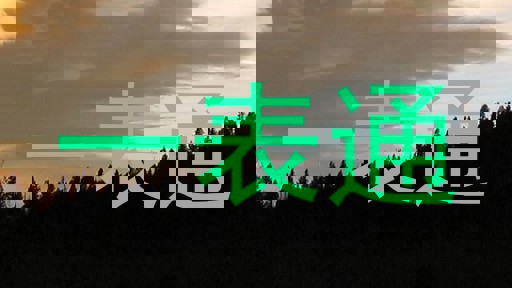 一表通