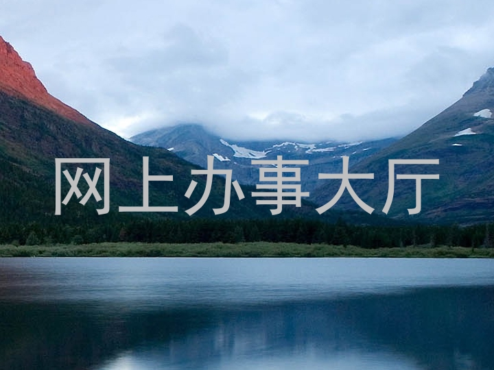 网上办事大厅
