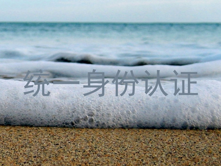 统一身份认证