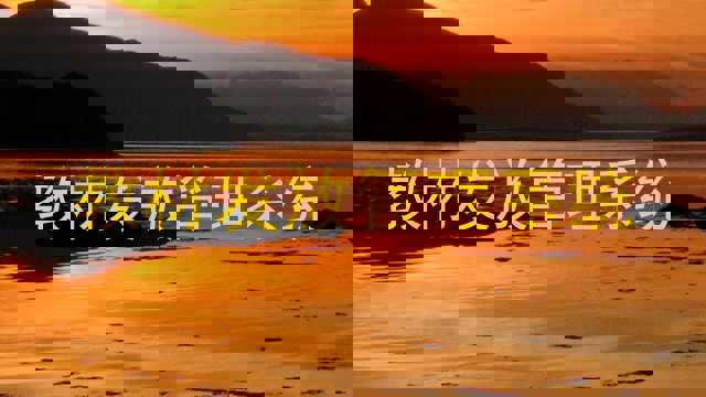 教材发放管理系统