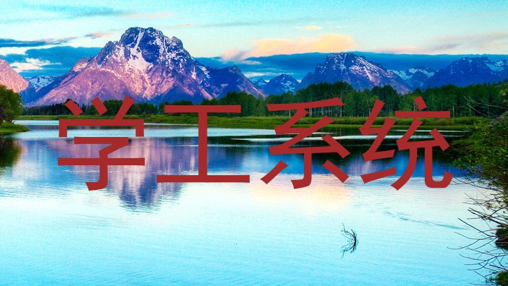 学工系统