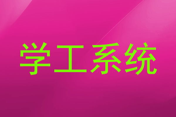 学工系统
