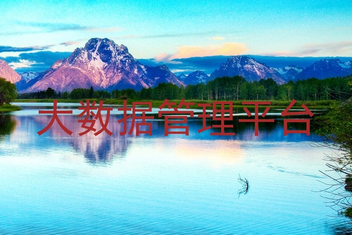 大数据管理平台