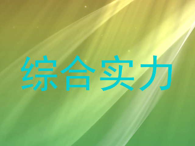 综合实力