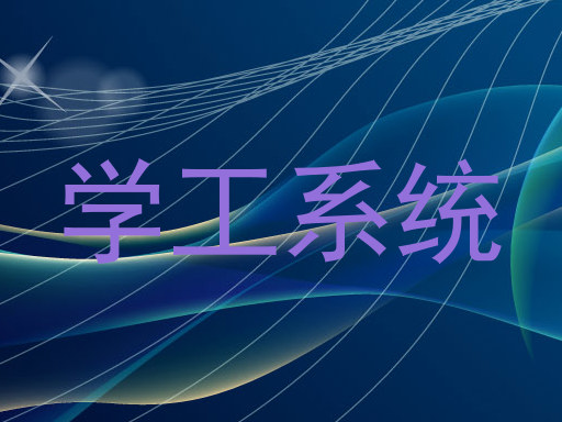 学工系统