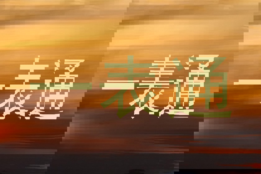 一表通
