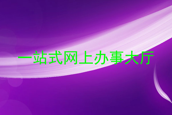 一站式网上办事大厅